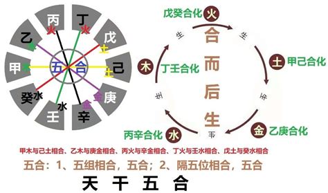 戊癸合老少配|天干五合——“戊癸”相合，为何称为“无情之合”呢？